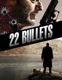 22 Bullets