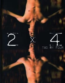 2 By 4