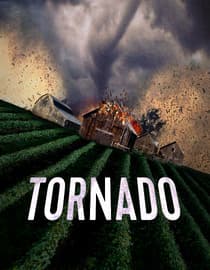 Nature Unleashed: Tornado