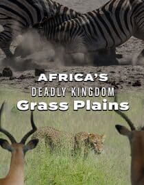 Africas Deadly Kingdom: Grass Plains