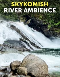Skykomish River Ambience