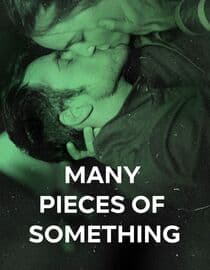 Many Pieces Of Something