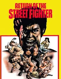 Return of the Street Fighter