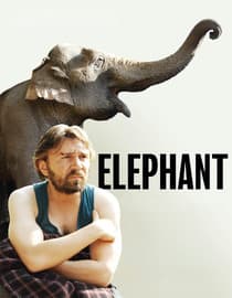 The Elephant