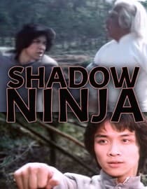 Shadow Ninja