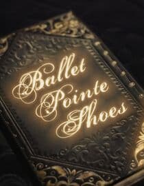 Ballet Pointe Shoes
