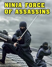 Ninja Force of Assassins