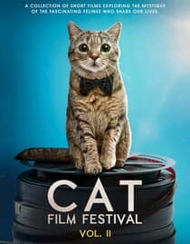 Cat Film Festival Vol. 2