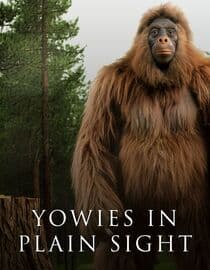 Yowies in Plain Sight