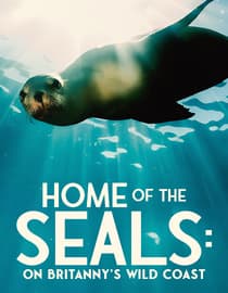 Home of the Seals: On Britanny's Wild Coast