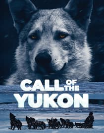 Call of the Yukon