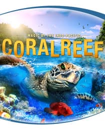 Coral Reef