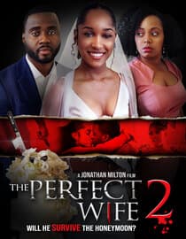 The Perfect Wife 2