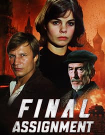Final Assignment