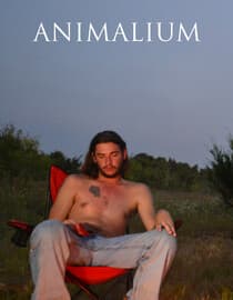 Animalium