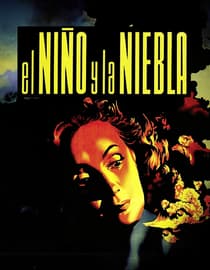 El niño y la niebla