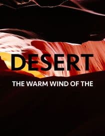 The Warm Wind Of The Desert
