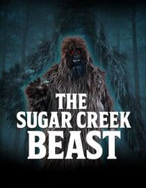 The Sugar Creek Beast