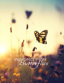 Waiting for Butterflies