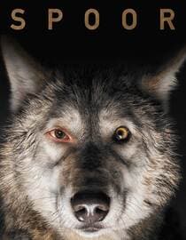 Spoor