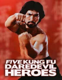 Five Kung Fu Daredevil Heroes