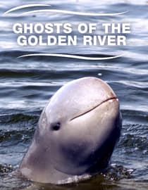 Ghosts of the Golden River