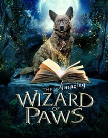 The Amazing Wizard of Paws