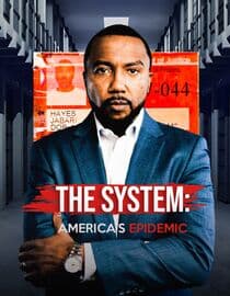 The System: America's Epidemic