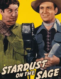 Stardust On The Sage