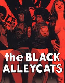 The Black Alley Cats