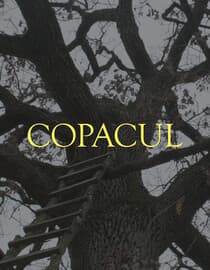Copacul