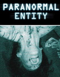 Paranormal Entity