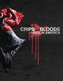 Crips And Bloods: Made In America