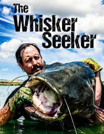 The Whisker Seeker
