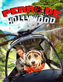 Perro de Hollywood