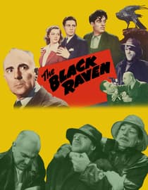 The Black Raven