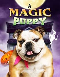 A Magic Puppy