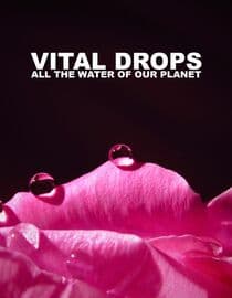 Vital Drops: All the Water of Our Planet
