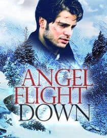 Angel Flight Down