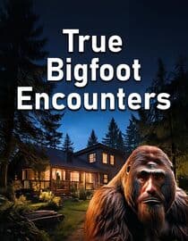 True Bigfoot Encounters