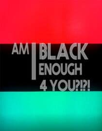 Am I Black Enough 4 You?!?!