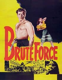 Brute Force