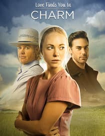 Love Finds You in Charm - En español