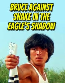 Bruce Against Snake in the Eagle's Shadow