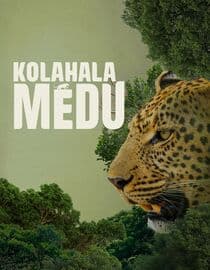 Kolahalamedu