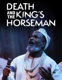 Death and the King's Horseman