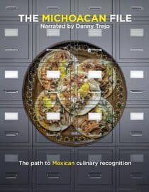 The Michoacan File