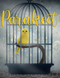 Parakeet