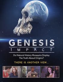 Genesis Impact
