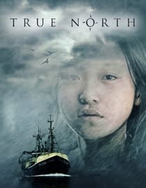 True North